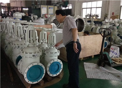1531478318431307.jpg cai4.jpg