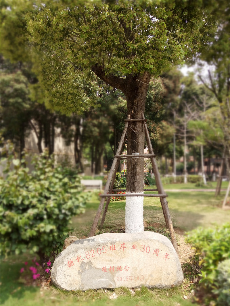 1555299887987622.jpg chu.jpg