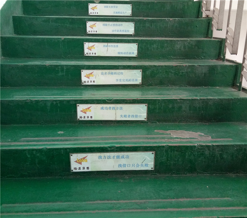 1558321259378636.jpg cai2.jpg